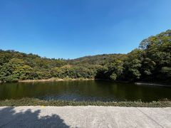 -紫金山山顶公园