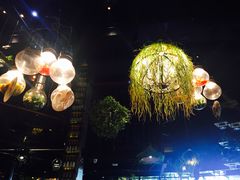 -胡桃里音乐酒馆(观澜御湖店)