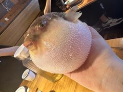 -永安鱼庄·镇江菜(丁卯店)