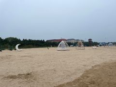 -日照海滨国家森林公园