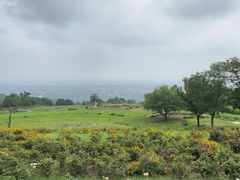 -紫云台香草园