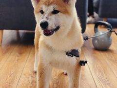 -YCHL Studios健身工作室(市二宫店)