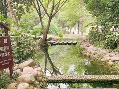 -成都市活水公园