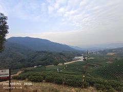 -听风阁农家私房菜茶楼(龙坞店)