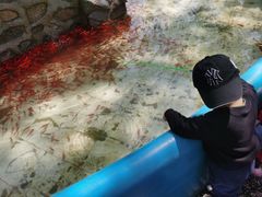 -南戴河国际娱乐中心