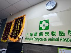 -爱侣宠医·鹦鹉专科·小型哺乳类·异宠专科(灵石路店)