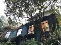 -凤凰御元艺术基地