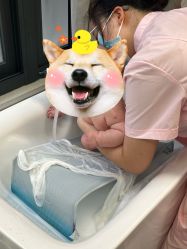 -安琪朵朵独栋花园月子中心