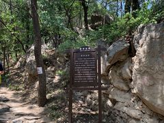 -阳台山自然风景区