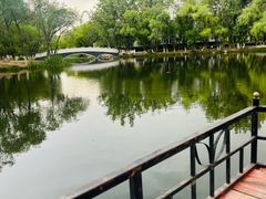 -青城公园