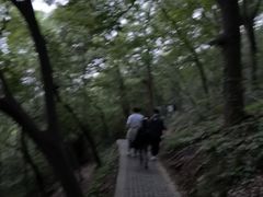 -紫金山天文台
