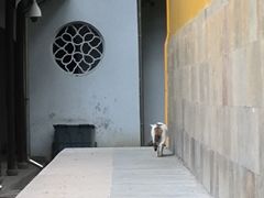 -西园戒幢律寺