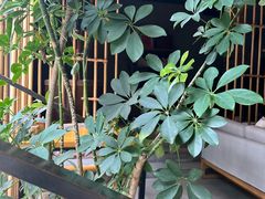 -竹里馆 ·茶食(奥体店)