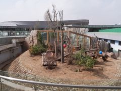 -青藏高原野生动物园