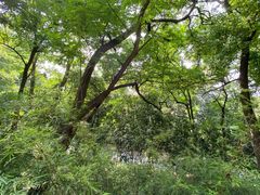-北极阁公园