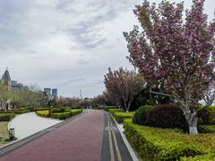 -东港音乐喷泉广场