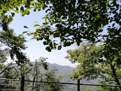 -莫干山风景区
