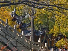 -西园戒幢律寺