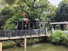 -侨美·唐荔园·40年地道粤菜