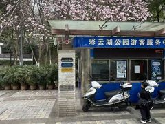 -重庆彩云湖湿地公园