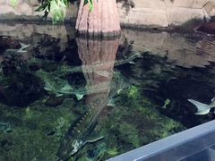 -南昌海洋公园