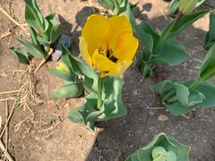 -长春公园(普阳街道)