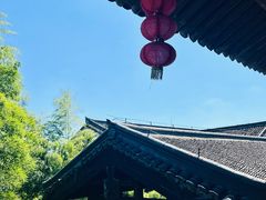 -大唐贡茶院