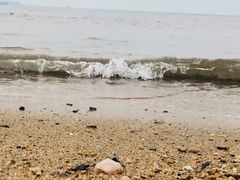 -ChanDu躔度咖啡(灯塔店)