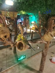 -酷嗒动物文化乐园(cutezoo西溪乐天城店)