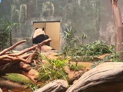 -香港海洋公园