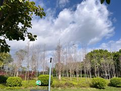-琅岐红光湖公园