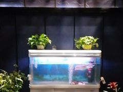 -梵SPA·影院足道·采耳(西藏北路店)