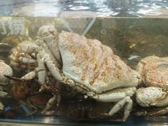 -盒马鲜生(大成店)