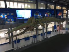 -上海海洋大学鱼文化博物馆(军工路校区)
