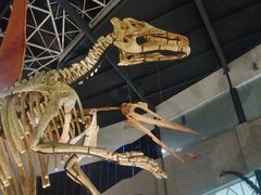 -湖南省地质博物馆