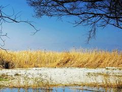 -大理洱源西湖景区