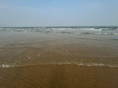 -日照海滨国家森林公园