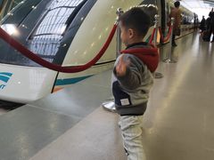 -龙阳路磁悬浮列车总站-停车场