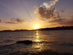 -上海市保健医疗中心