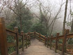 -凤栖山