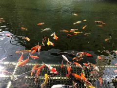 -番禺宾馆丽苑厅