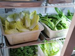 -金鼎雪山牦牛杂火锅(理县总店)