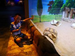 -华夏文旅海洋公园