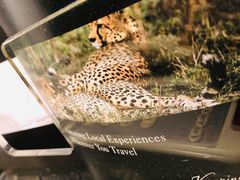 -成都凯宾斯基饭店