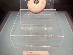 -辽宁省博物馆