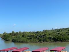 -东寨港红树林旅游区