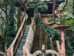 -天门沟九州驿站树上汤泉