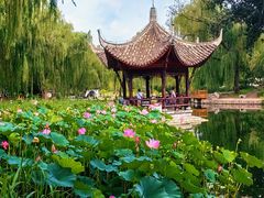 -陶然亭公园