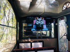 -合肥滨湖国家森林公园