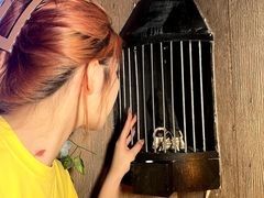 -逃脱反斗城沉浸剧情密室(北京路店)